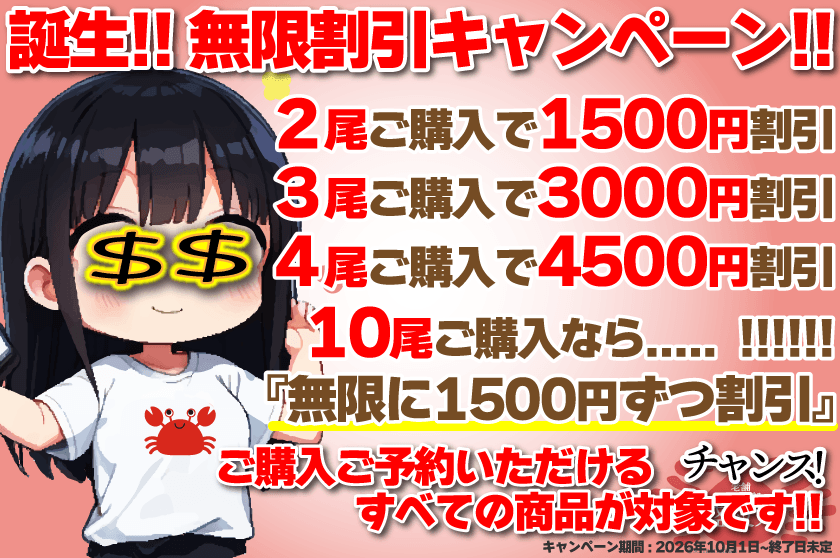無限割引キャンペーン!