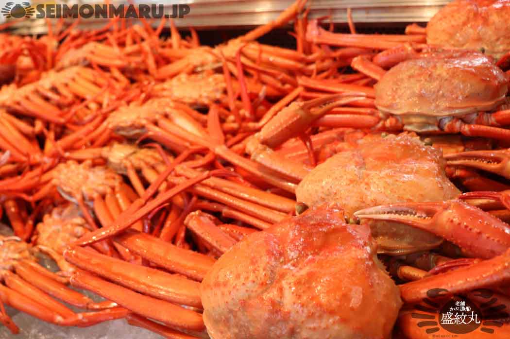 お店にならぶベニズワイガニ