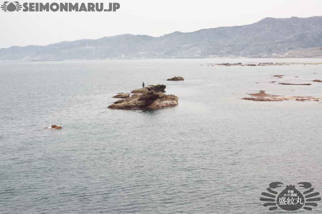 道の駅マリンドリーム能生からみる海の景色
